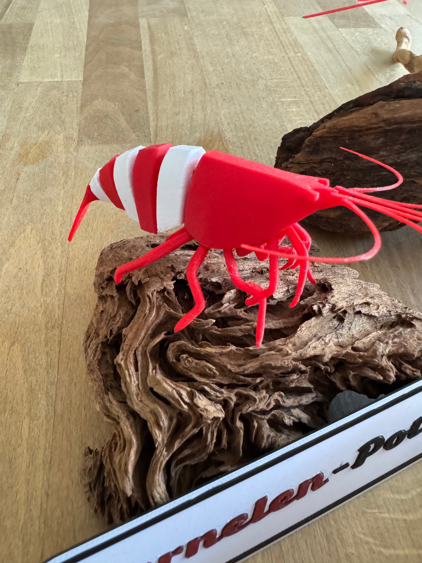 Shrimpy - die Garnele!