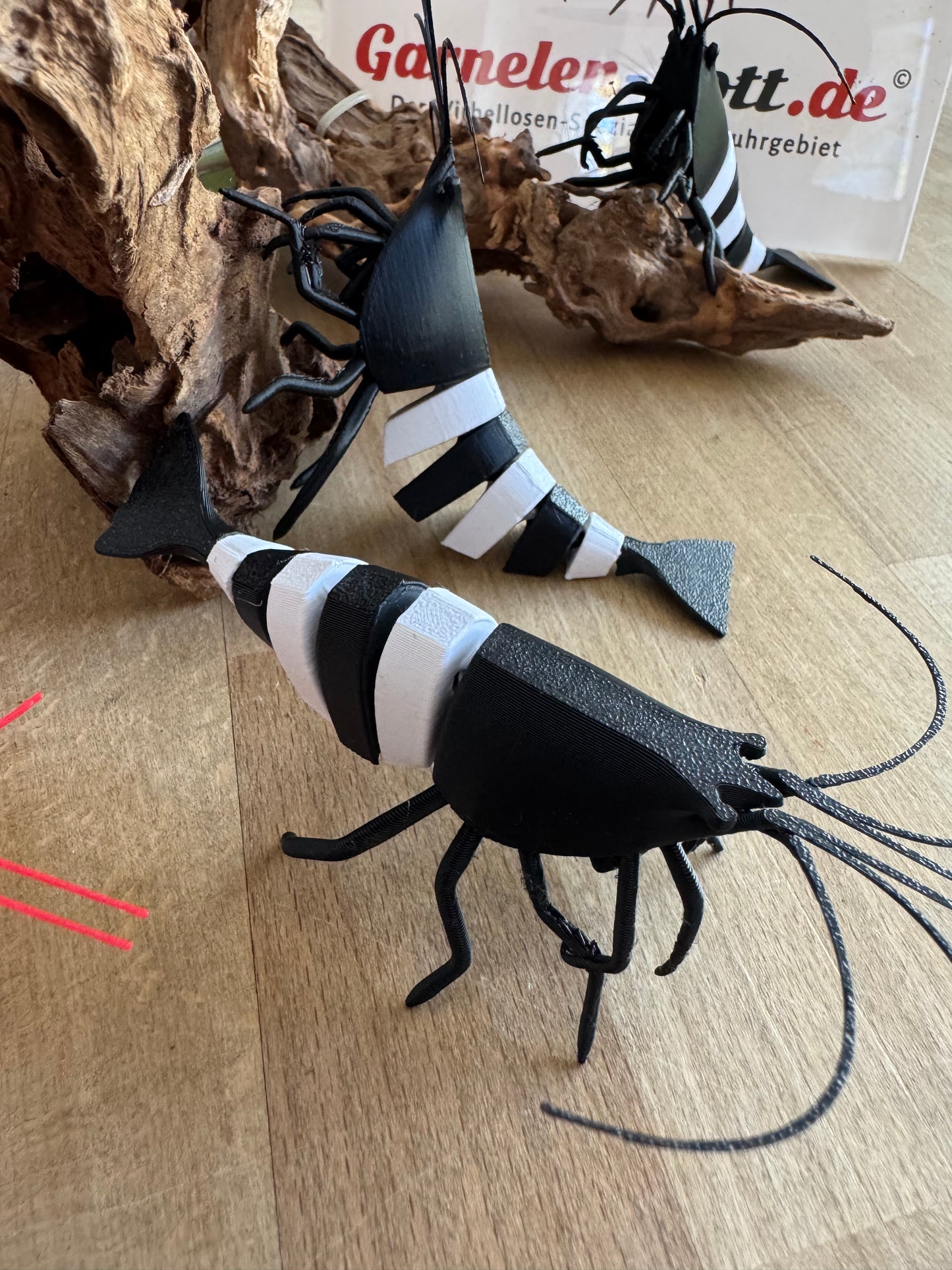 Shrimpy - die Garnele!