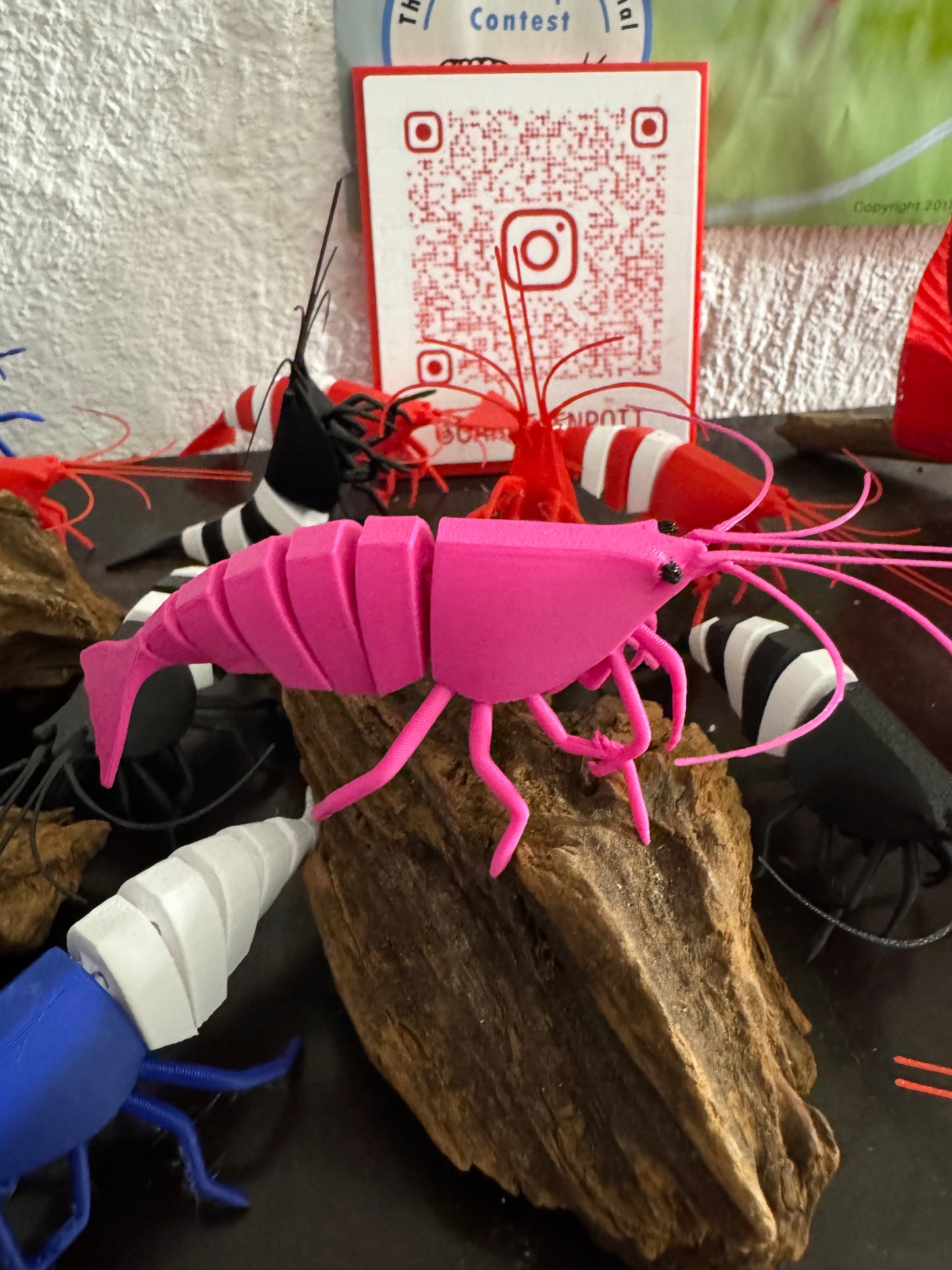 Shrimpy - die Garnele!