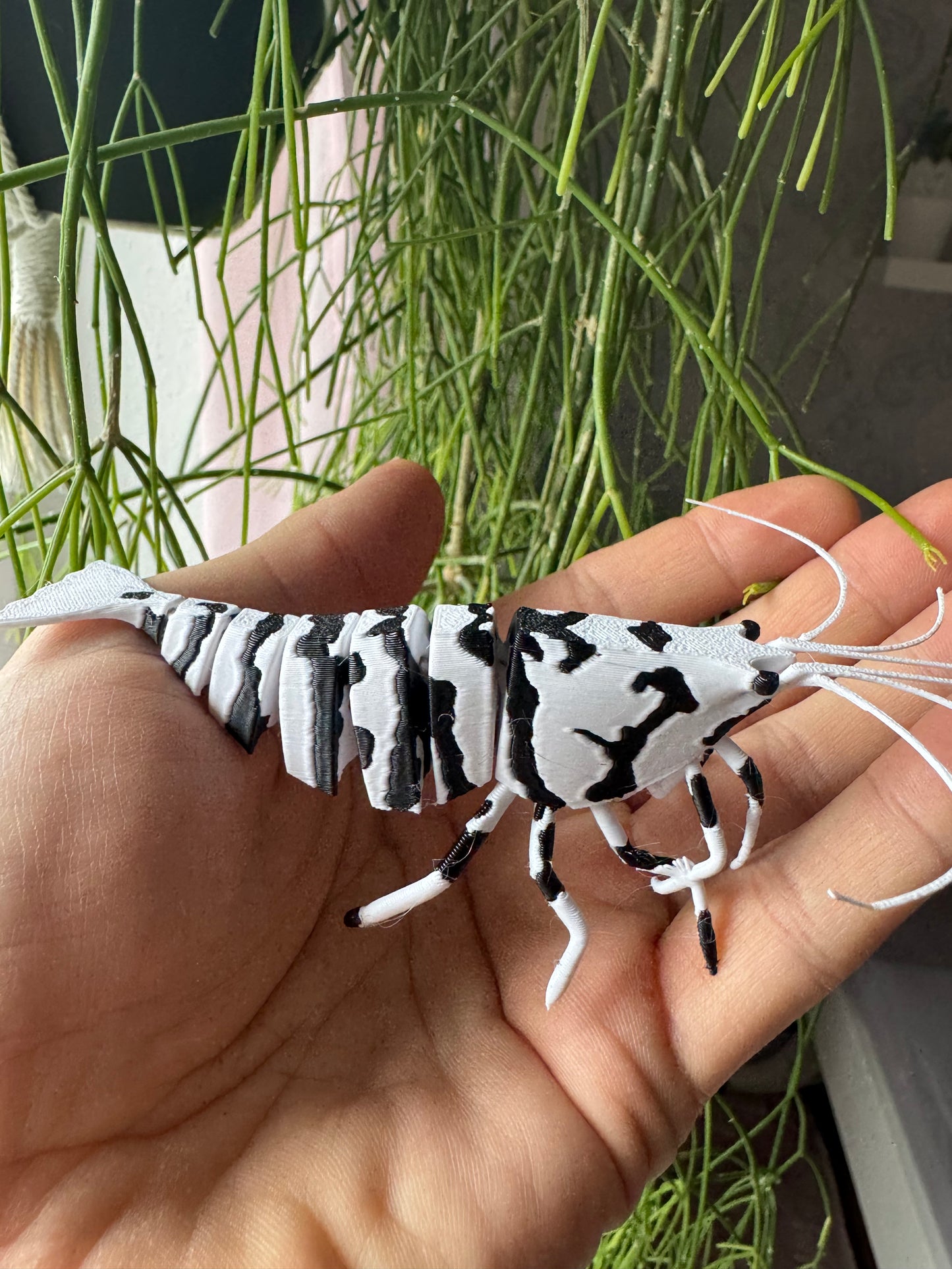 SHRIMPYS