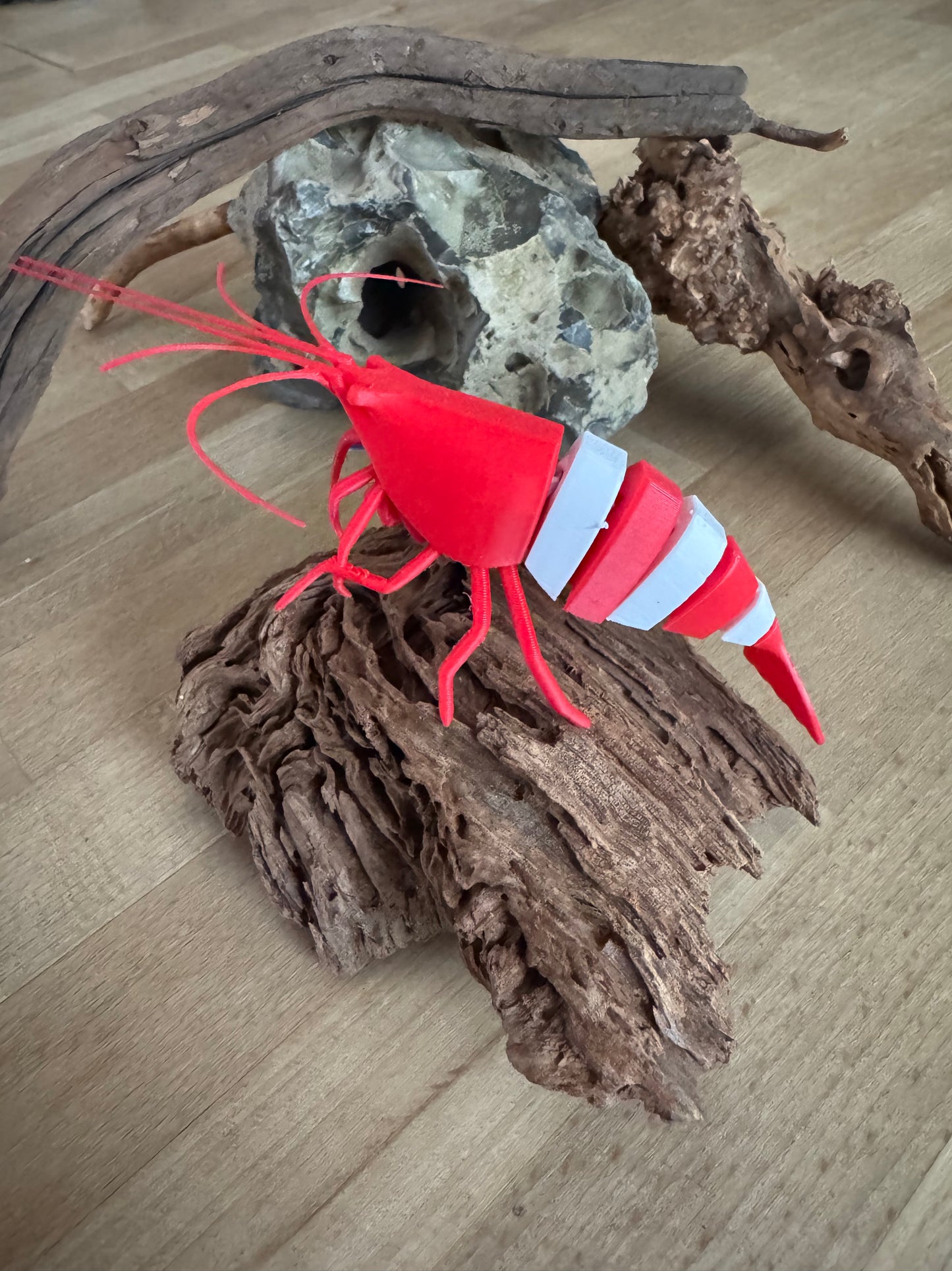 Shrimpy - die Garnele!