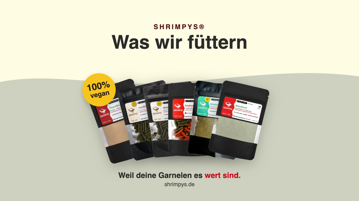 SHRIMPYS® Garnelenfutter – was wir selbst verfüttern