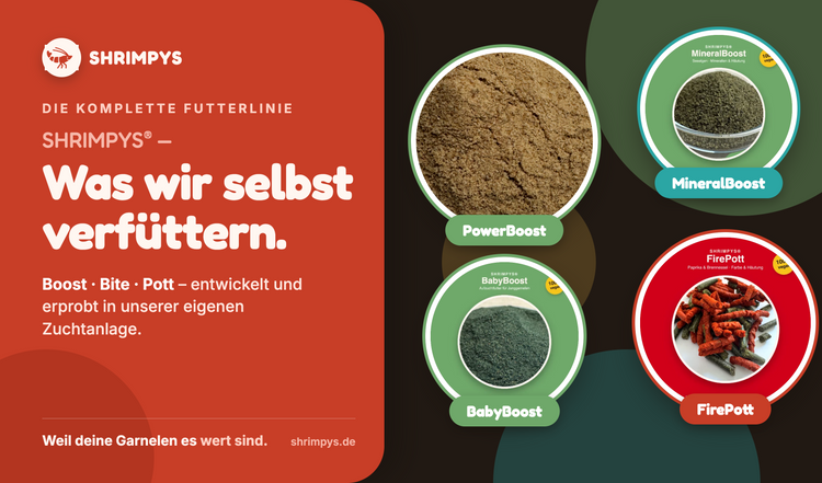 SHRIMPYS BabyBoost Aufzuchtfutter Tüte 30 g – Garnelen-Pott.de Essen