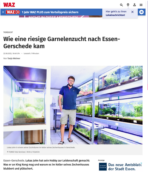 WAZ-Bericht über die Garnelenzucht in Essen-Gerschede