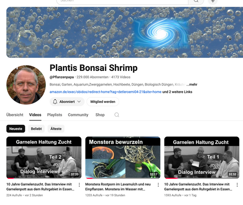 Interview mit Plantis Bonsai Shrimp über 10 Jahre Garnelenzucht