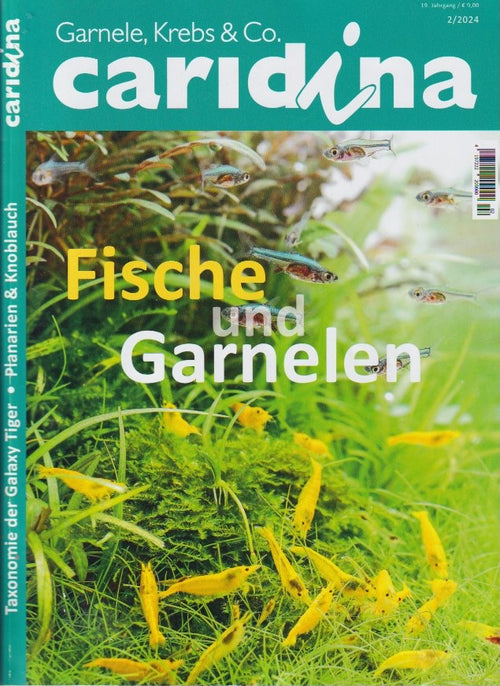 Titelseite der Fachzeitschrift caridina 2/2024 mit Bericht über Garnelen-Pott.de