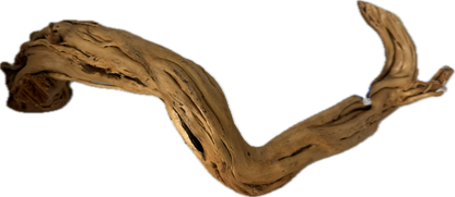 Curl Wood „Mittel“ (40–60 cm) – Natürliche Aquarium-Wurzel für Garnelen & Aquascaping