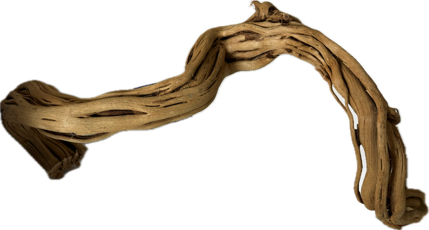 Curl Wood „Mittel“ (40–60 cm) – Natürliche Aquarium-Wurzel für Garnelen & Aquascaping