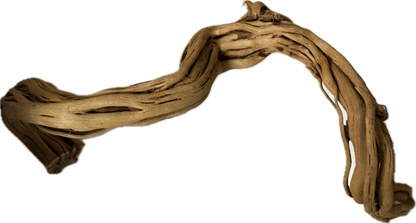 Curl Wood „Mittel“ (40–60 cm) – Natürliche Aquarium-Wurzel für Garnelen & Aquascaping