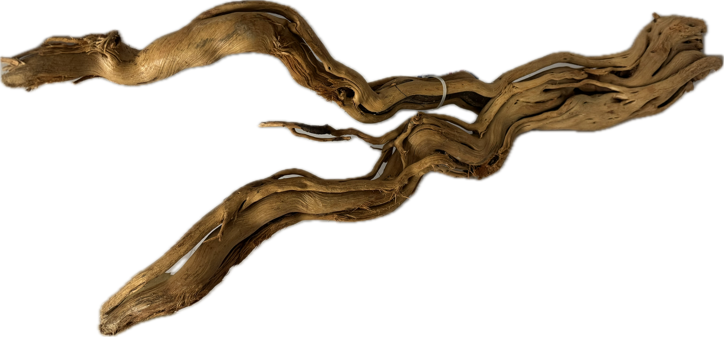 Curl Wood „Mittel“ (40–60 cm) – Natürliche Aquarium-Wurzel für Garnelen & Aquascaping