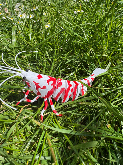 (DELUXE) Red Fancy Tiger 'Björn
