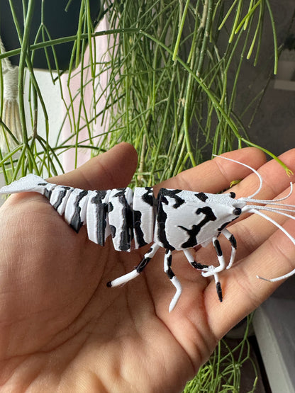 SHRIMPYS