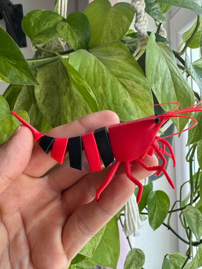 SHRIMPYS