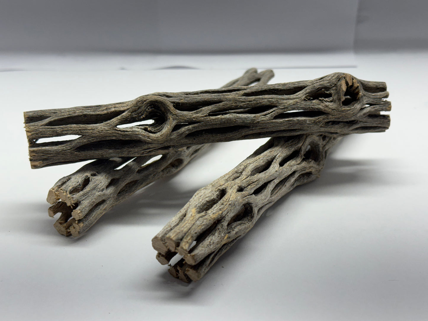 Cholla Wood 15 cm (Ø 2 bzw. 3 cm) – Versteckplatz, Futterquelle & Deko für Garnelen-Aquarien