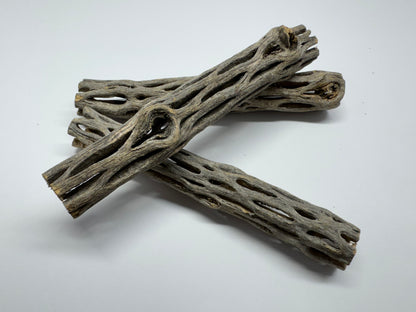 Cholla Wood 15 cm (Ø 2 bzw. 3 cm) – Versteckplatz, Futterquelle & Deko für Garnelen-Aquarien