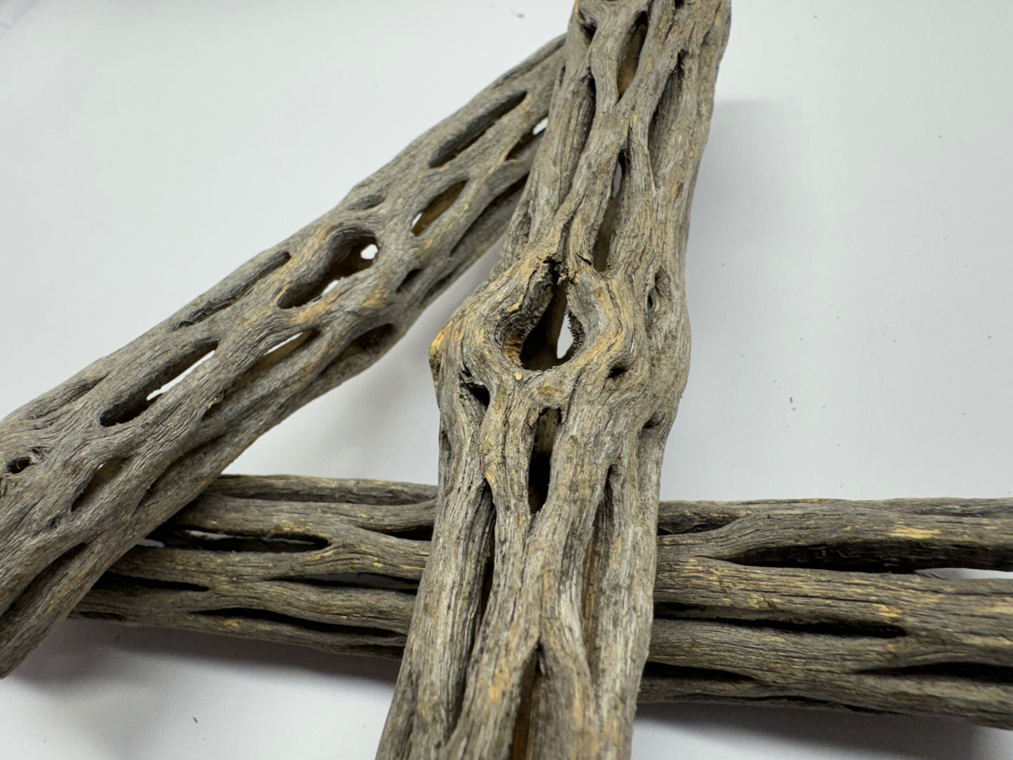 Cholla Wood 15 cm (Ø 2 bzw. 3 cm) – Versteckplatz, Futterquelle & Deko für Garnelen-Aquarien