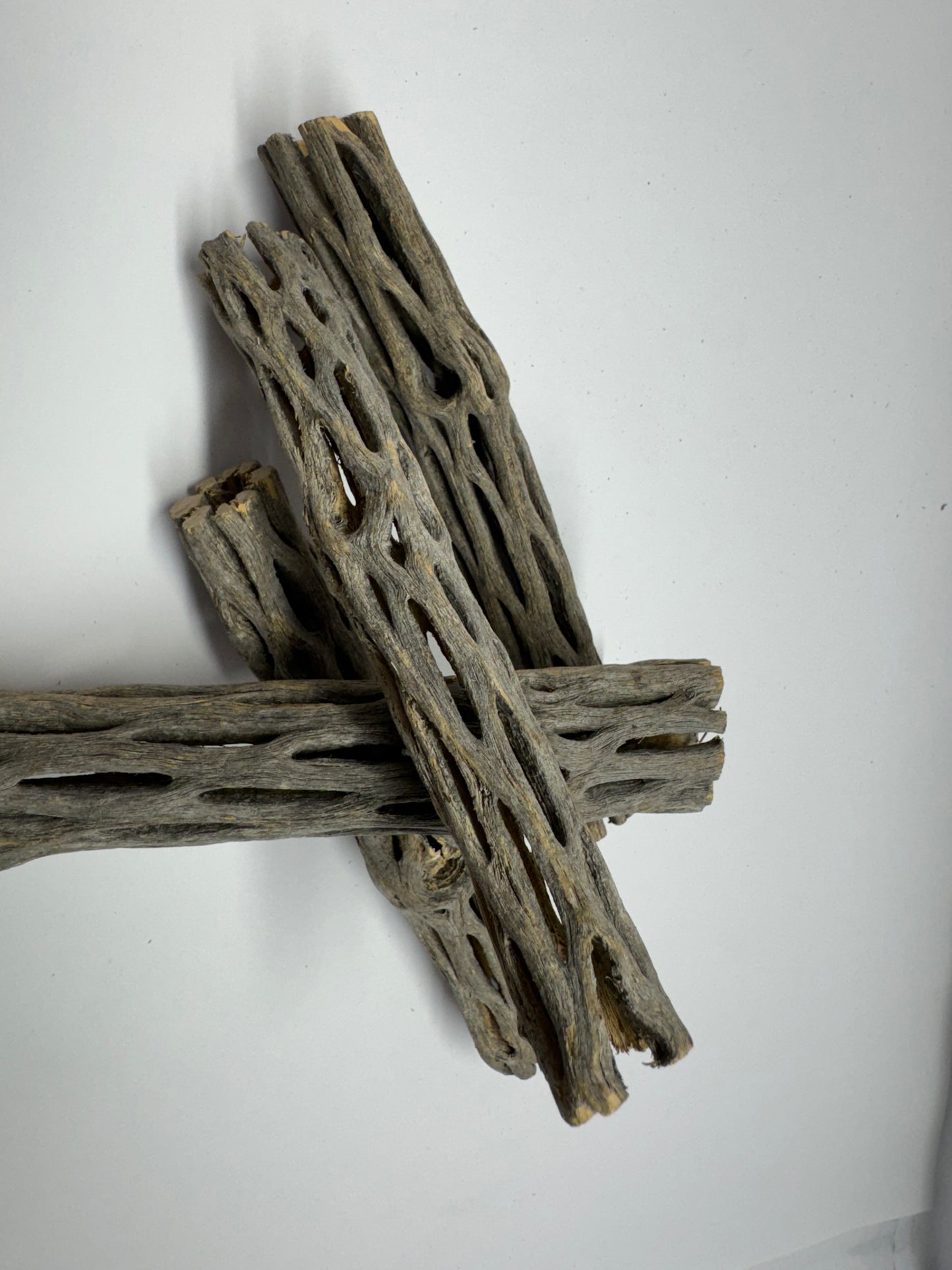 Cholla Wood 15 cm (Ø 2 bzw. 3 cm) – Versteckplatz, Futterquelle & Deko für Garnelen-Aquarien
