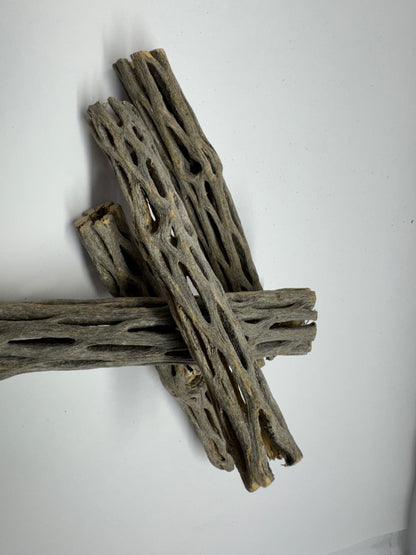 Cholla Wood 15 cm (Ø 2 bzw. 3 cm) – Versteckplatz, Futterquelle & Deko für Garnelen-Aquarien
