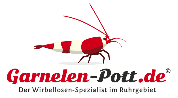Garnelen-Pott.de
