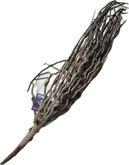 Kokosrispe ca. 40–50 cm – Naturholz-Deko für Garnelen & Aquarien, Biofilm & Versteckplatz