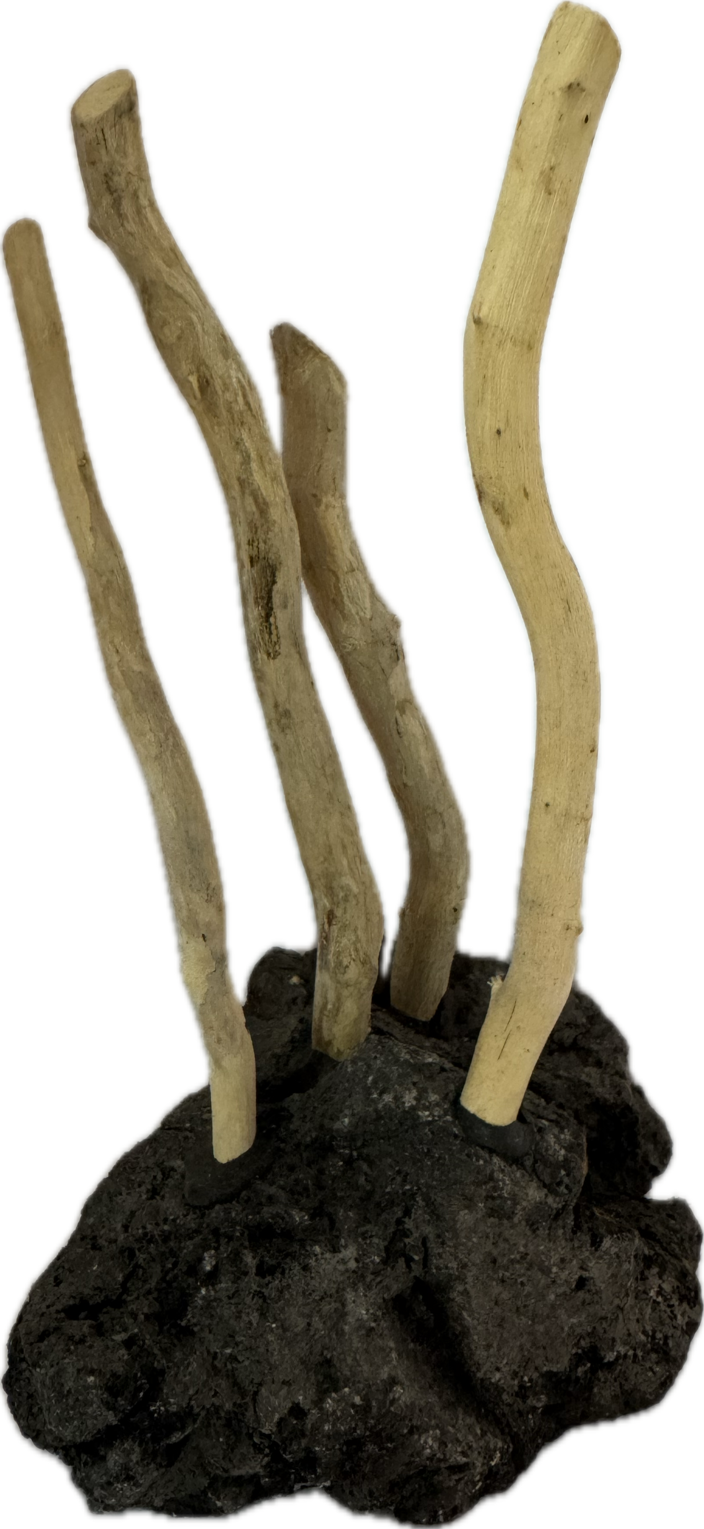 Coffee Rock klein mit Wurzel – Hardscape-Stein & Naturwurzel Dekoration für Aquarium | Aqua-Global (DKO932)