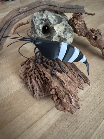Shrimpy - die Garnele!