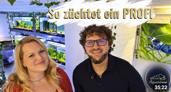 Marina von Aquarinas und Garnelenzüchter Lukas John in der Zuchtanlage von Garnelen-Pott.de in Essen