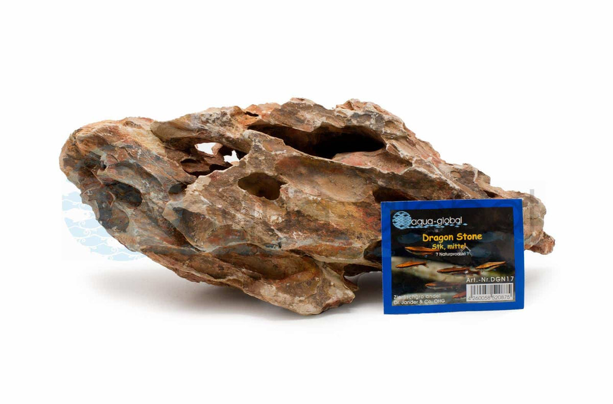 Dragon Stone Struktur mit Höhlen und Rillen, Beispielstein – Garnelen-Pott.de Essen