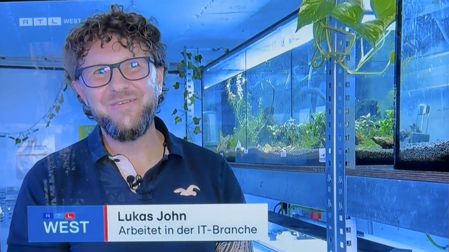 Lukas John im RTL-WEST-Beitrag über die Garnelenzucht in Essen-Gerschede