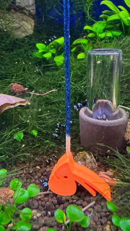 SHRIMPYS Lolli-Halter Orange mit blauem Mineral-Lolli im bepflanzten Aquarium – Garnelen-Pott.de Essen